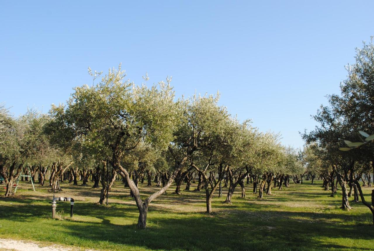 Agriturismo Melograno D'Oro Bardolino Exterior photo
