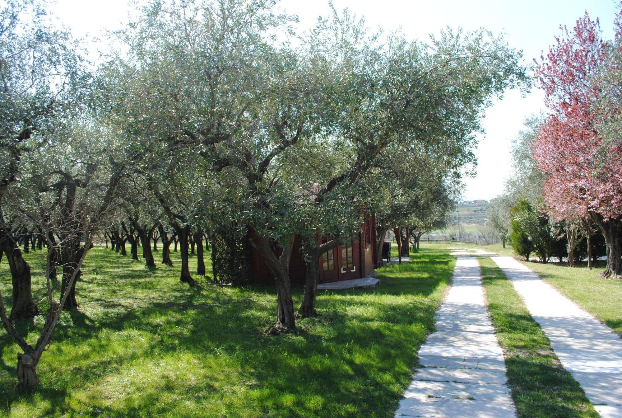 Agriturismo Melograno D'Oro Bardolino Exterior photo