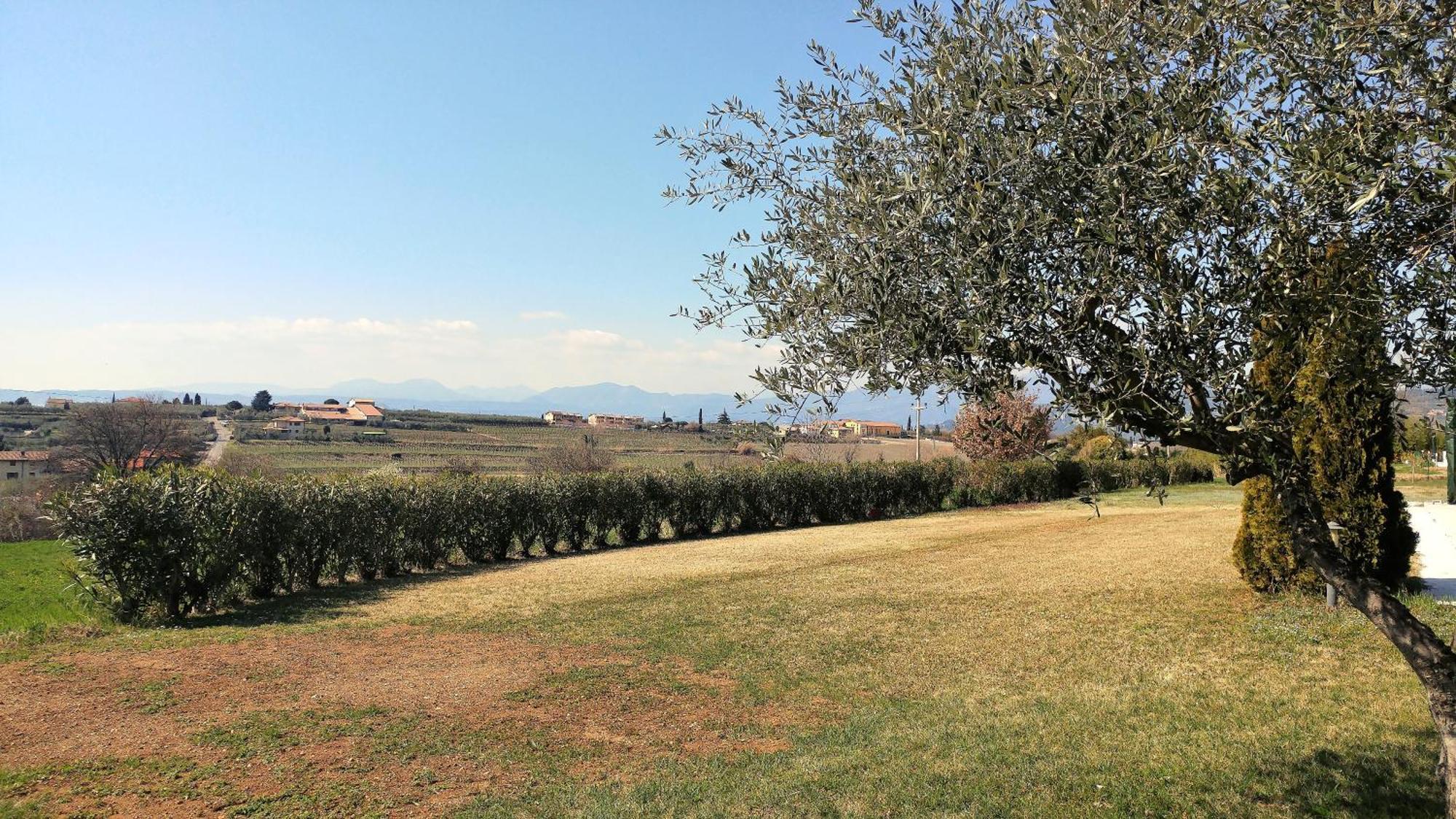 Agriturismo Melograno D'Oro Bardolino Exterior photo