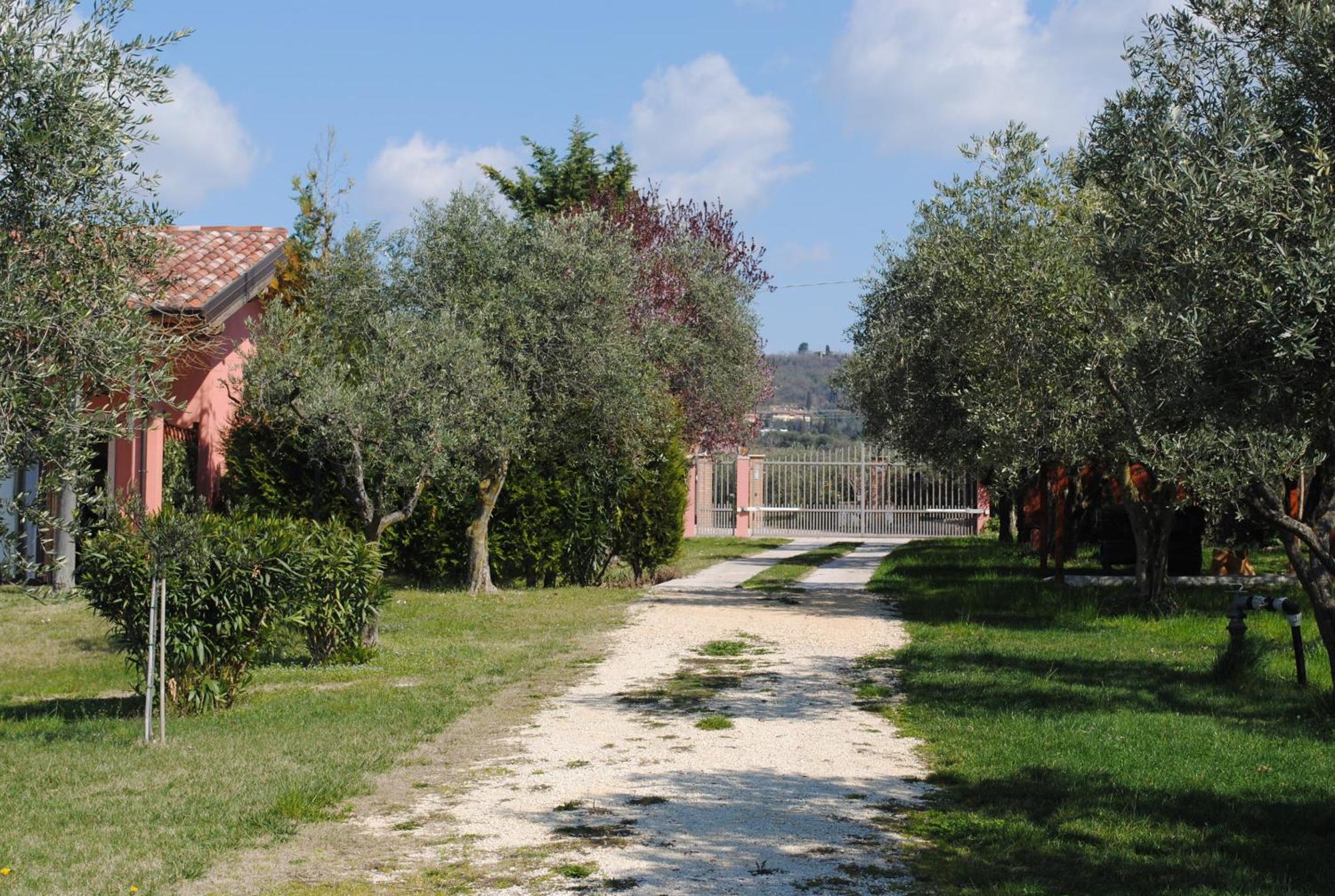 Agriturismo Melograno D'Oro Bardolino Exterior photo