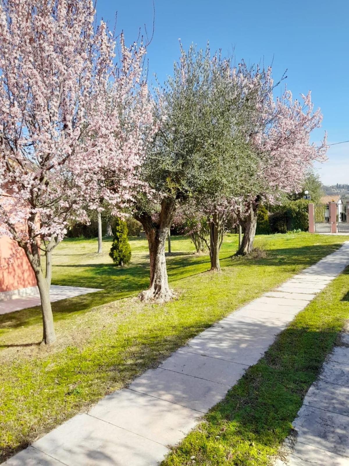 Agriturismo Melograno D'Oro Bardolino Exterior photo