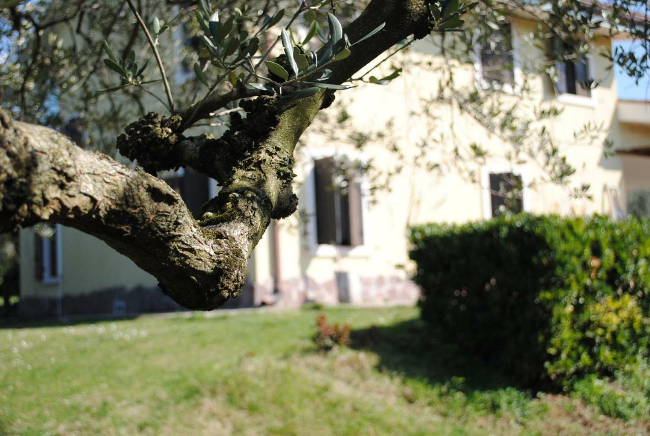 Agriturismo Melograno D'Oro Bardolino Exterior photo