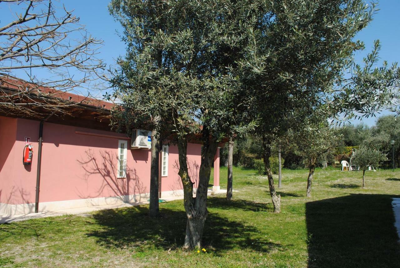 Agriturismo Melograno D'Oro Bardolino Exterior photo